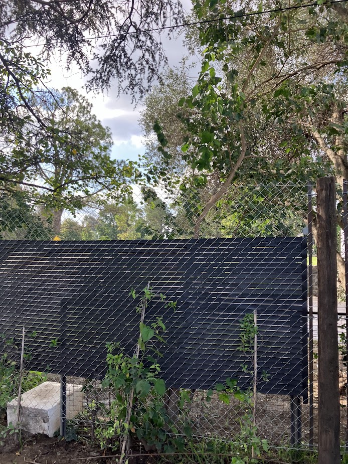 PractiCerco con vegetación